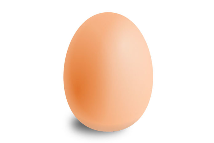 uovo-di-colombo