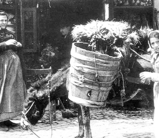 D’estate si andava a vendere la frutta contadine