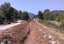 leonessa-teverenera