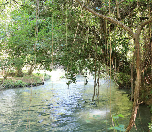 Nessun dorma! Valnerina Nera