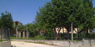 Orto di achille