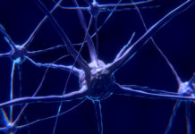 Rita-de-ciantis-Epilessia