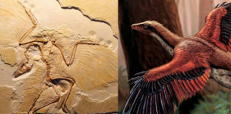 mondo che cambia dinosauri