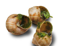sagre