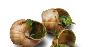 sagre