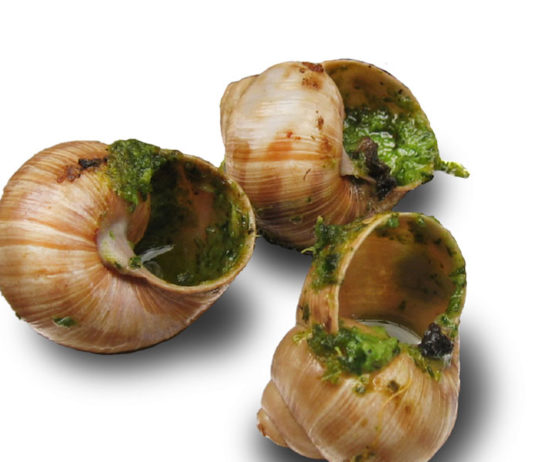 Le sagre: riscoperta di Sapori e Saperi antichi sagre