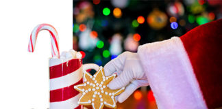 Fioriti Natale