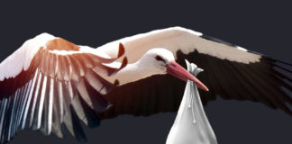 Fertilità