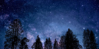 Cielo stellato