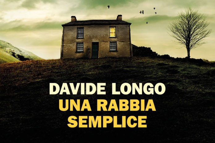 David longo Una rabbia semplice