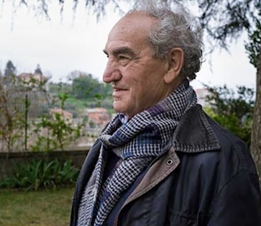 Teodosio Magnoni