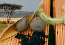 seedball