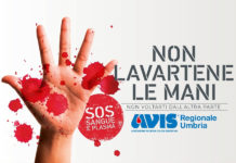 AVIS terni