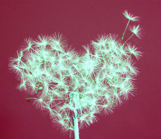 La magia delle feste: da Natale alla Befana