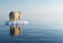 Clima