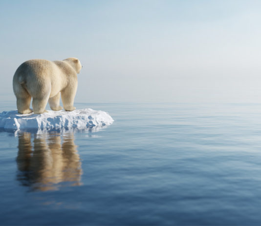 Battiti d’ALI Clima