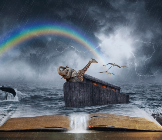 L’ARCA DI NOE’