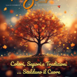 LP_Novembre24