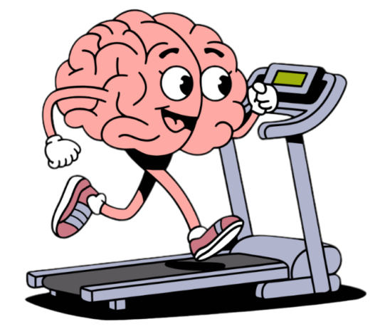 LABORATORIO UNA PALESTRA PER LA MENTE