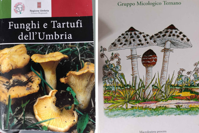 Gruppo Micologico ternano