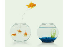 Credersi migliori della media