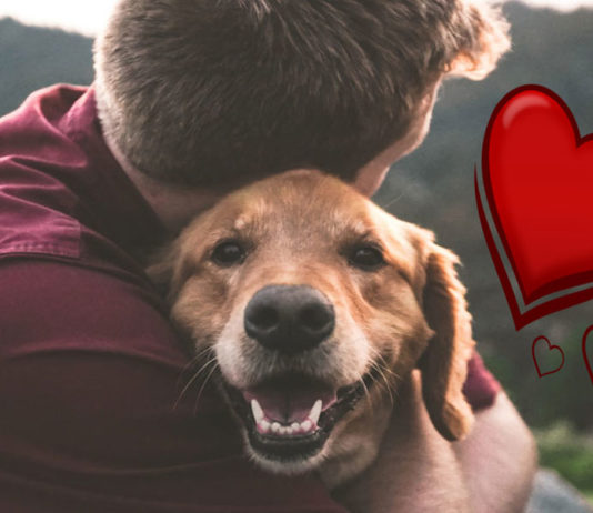 UN AMORE A SEI ZAMPE: il cane in famiglia