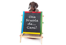 TUTTI A SCUOLA… DA CANI!!!